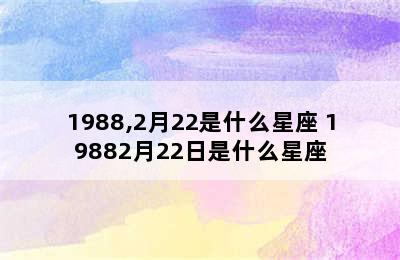 1988,2月22是什么星座 19882月22日是什么星座